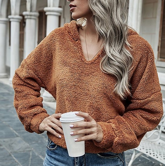 Brown Plush V-Neck Hooded Longsleeve Pullover - Picture 2 of 5